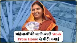 जुलाई से हर महिला के लिए घर बैठे ₹15,000 की मासिक गारंटी – जानिए कैसे मिलेगा Women Work From Home!