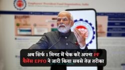 EPFO का धमाकेदार 60 सेकंड प्रोसेस: अब PF चेकिंग बच्चों का खेल!